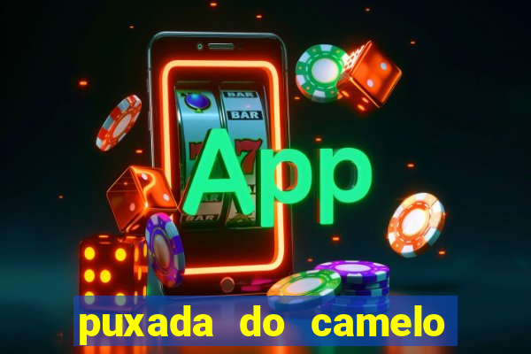 puxada do camelo jogo do bicho